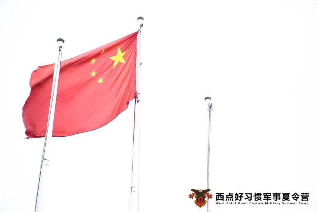 三亚沙滩现多起剧毒僧帽水母伤人事件,网友晒图提醒!官方回应